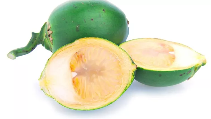 Manfaat Pinang Muda