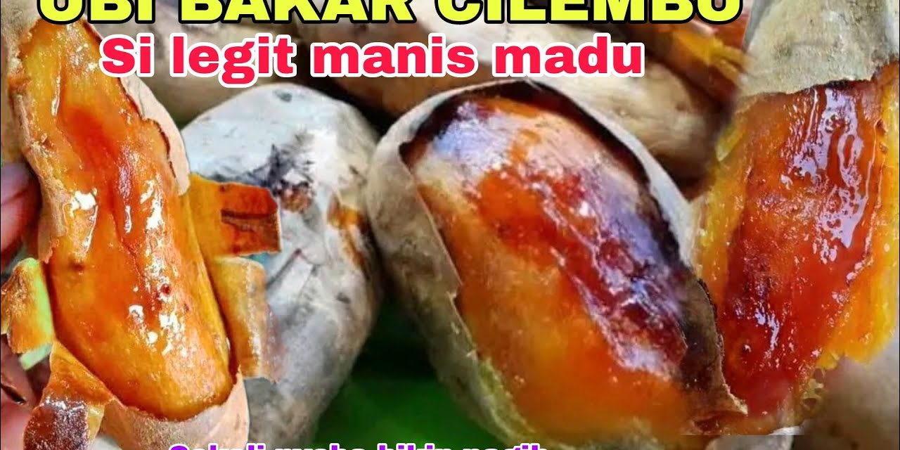 Ubi Jalar Khas Sumedang Ikon Kuliner Viral Karena Rasa Manis