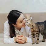 Trik Merawat Kucing Lokal Dengan Cara Sederhana