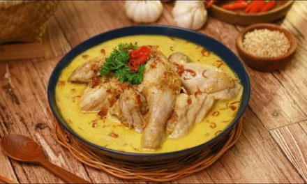 Hidangan Ayam Opor Khas Indonesia, Yuk Simak Sejarahnya!